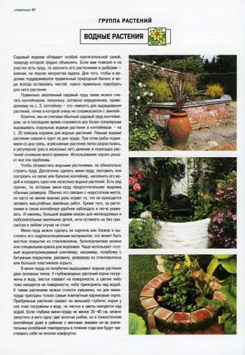 Иллюстрация 30 из 34 для Все о контейнерных растениях - Дэвид Хессайон | Лабиринт - книги. Источник: Nadezhda_S