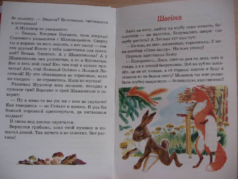 Иллюстрация 20 из 20 для Бюро лесных услуг - Николай Сладков | Лабиринт - книги. Источник: Юта
