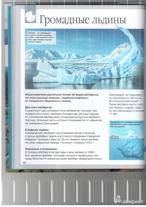 Иллюстрация 14 из 59 для Мир моря - Дю Ле | Лабиринт - книги. Источник: Юлия Короткова