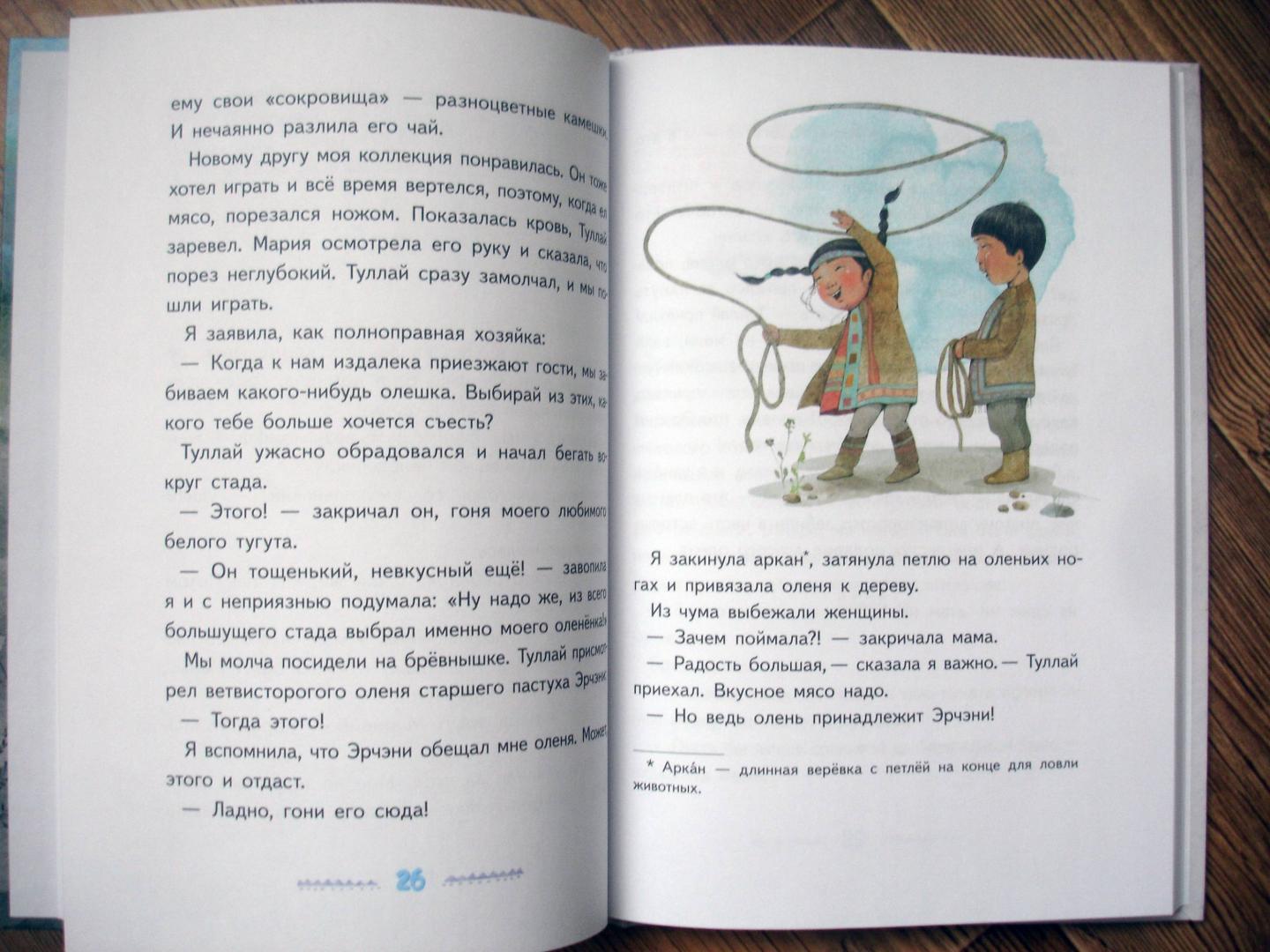 Иллюстрация 33 из 74 для Игра в камешки - Мария Федотова | Лабиринт - книги. Источник: Киселева  Вероника