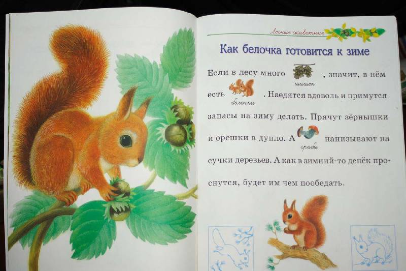 Иллюстрация 3 из 13 для Мир животных - Александрова, Дроздова | Лабиринт - книги. Источник: вера_о