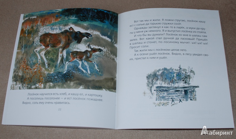 Иллюстрация 14 из 15 для Цапля - Евгений Чарушин | Лабиринт - книги. Источник: Книжный кот