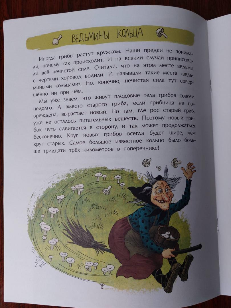 Иллюстрация 67 из 68 для Грибное царство - Алена Васнецова | Лабиринт - книги. Источник: Кошкина  Елена
