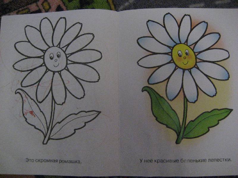 Иллюстрация 8 из 15 для Раскраска для малышей: Цветы. Синеглазый василек | Лабиринт - книги. Источник: irinasam