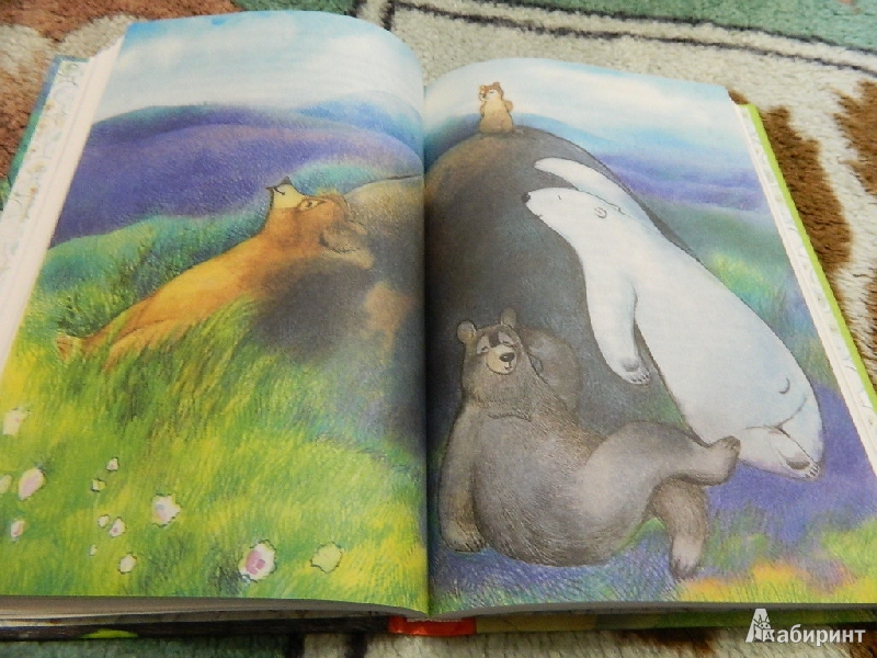 Иллюстрация 12 из 37 для Лето разноцветно-косолапое - Павел Калмыков | Лабиринт - книги. Источник: Мама Ольга