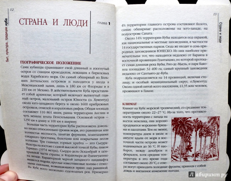 Иллюстрация 11 из 18 для Куба - Мэнди Макдональд | Лабиринт - книги. Источник: fionna_cake