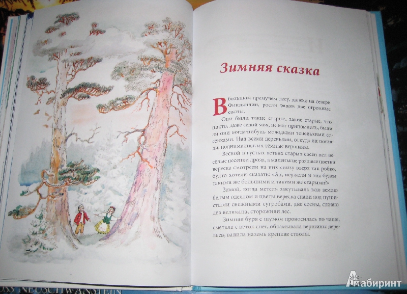 Иллюстрация 9 из 58 для Зимняя сказка - Сакариас Топелиус | Лабиринт - книги. Источник: Макарова  Елена