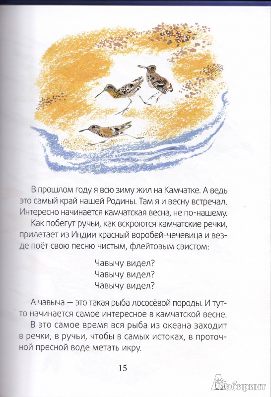 Иллюстрация 5 из 13 для Медведь-рыбак - Евгений Чарушин | Лабиринт - книги. Источник: Трубадур