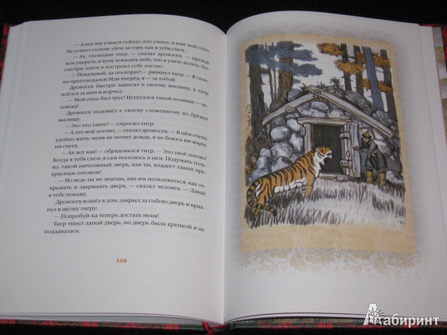 Иллюстрация 30 из 63 для Свадьба дракона: китайские сказки - Нисон Ходза | Лабиринт - книги. Источник: Nemertona