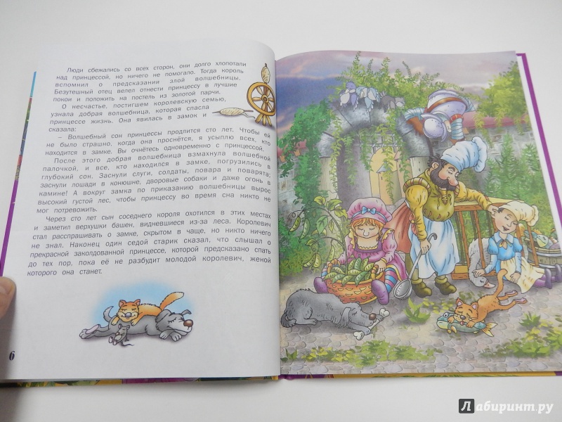 Иллюстрация 5 из 5 для Сказки о принцессах - Перро, Гримм, Андерсен | Лабиринт - книги. Источник: dbyyb