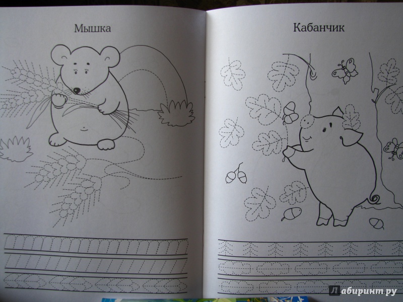 Иллюстрация 9 из 10 для Прописи: Лесные зверюшки - И. Попова | Лабиринт - книги. Источник: AnastasiaK
