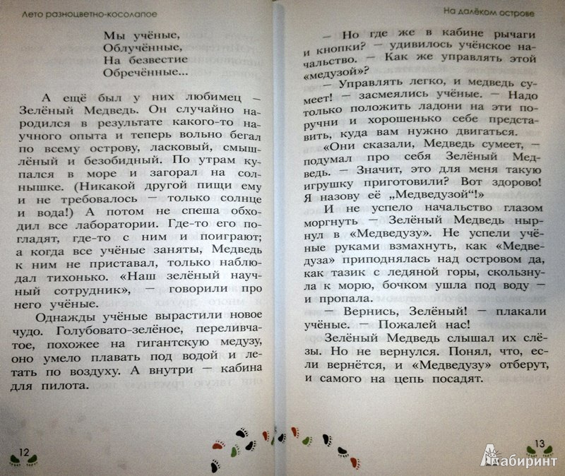 Иллюстрация 23 из 37 для Лето разноцветно-косолапое - Павел Калмыков | Лабиринт - книги. Источник: Леонид Сергеев