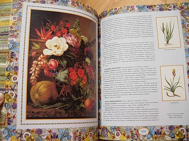Иллюстрация 7 из 8 для Русский травник | Лабиринт - книги. Источник: Читательница.