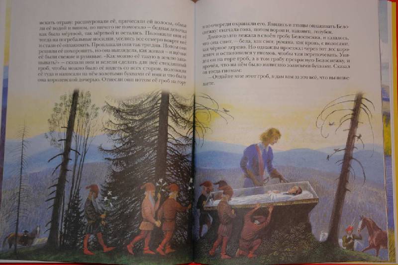 Иллюстрация 13 из 15 для Сказки - Гримм Якоб и Вильгельм | Лабиринт - книги. Источник: Полисвет