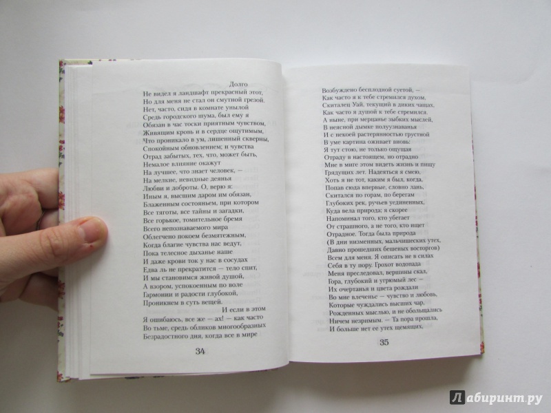 Иллюстрация 25 из 25 для Стихотворения - Уильям Вордсворт | Лабиринт - книги. Источник: anna_nik