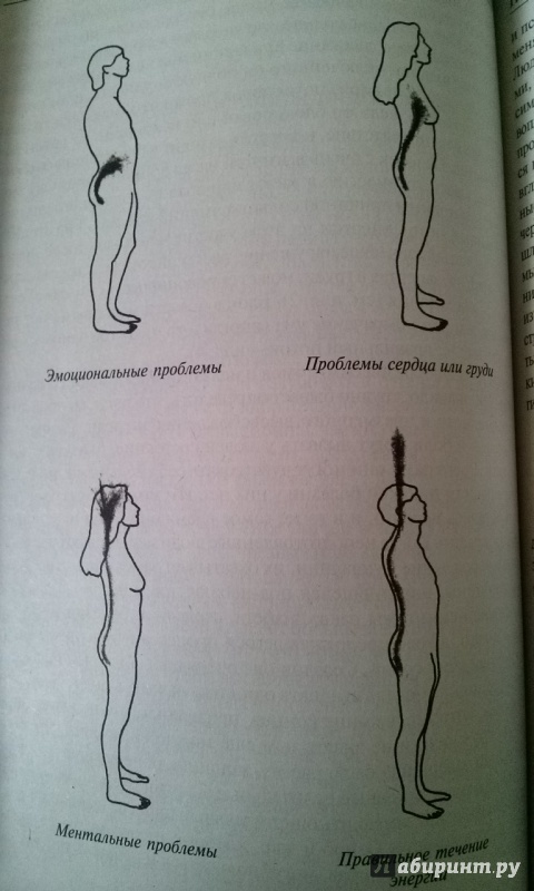 Иллюстрация 23 из 23 для Кундалини и чакры. Эволюция в течение жизни - Женевьева Полсон | Лабиринт - книги. Источник: Lubava-va