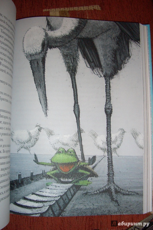 Иллюстрация 45 из 57 для Путешествие на Тандадрику - Витауте Жилинскайте | Лабиринт - книги. Источник: aliceinw
