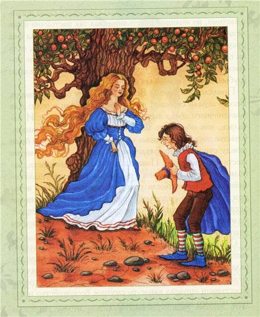Иллюстрация 14 из 40 для Сказки про фей и принцесс | Лабиринт - книги. Источник: Гостья