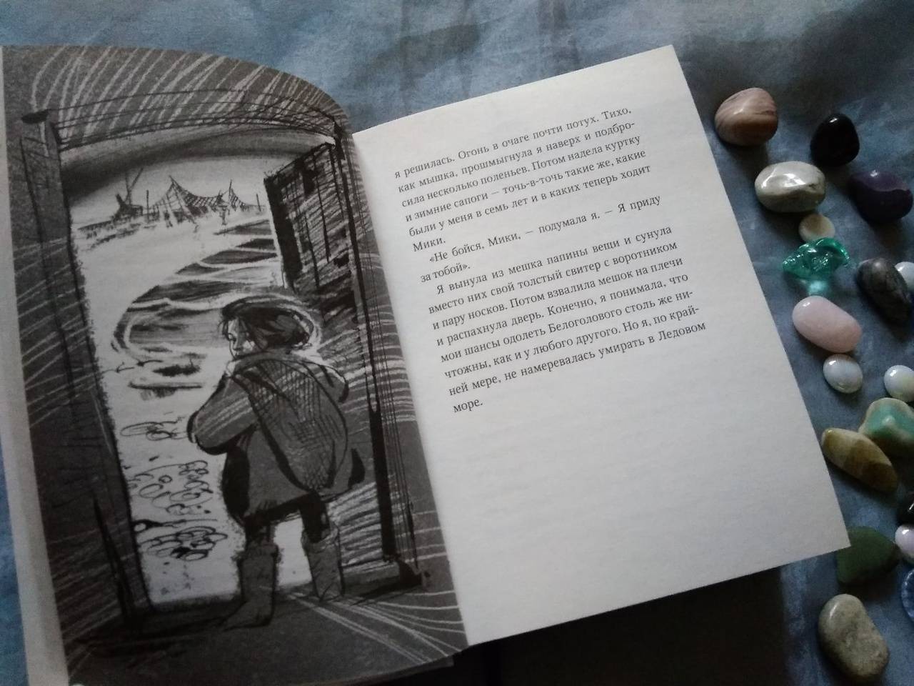 Иллюстрация 62 из 83 для Пираты Ледового моря - Фрида Нильсон | Лабиринт - книги. Источник: Исмайылова Марина