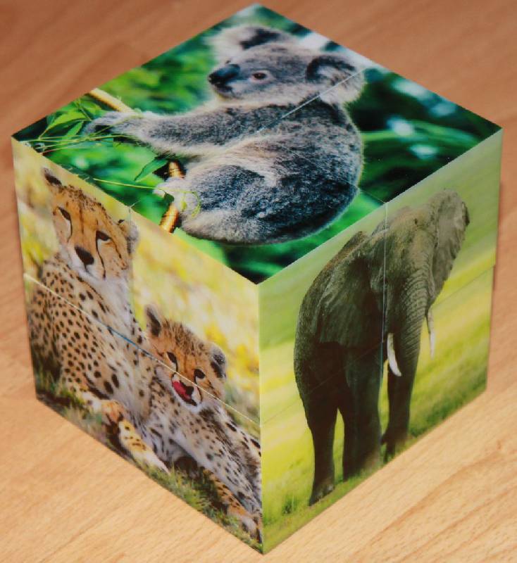Иллюстрация 11 из 12 для Магнитные кубики-пазлы "Дикие животные" (8 кубиков, 12 пазлов) (14031) | Лабиринт - игрушки. Источник: Соколова  Екатерина