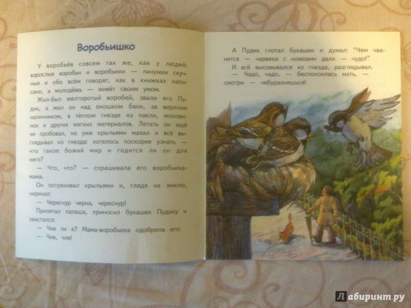 Иллюстрация 4 из 14 для Воробьишко - Максим Горький | Лабиринт - книги. Источник: Оксана