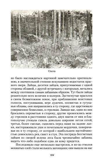 Иллюстрация 27 из 43 для По Северу России - Константин Случевский | Лабиринт - книги. Источник: TatyanaN