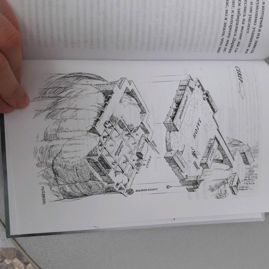 Иллюстрация 16 из 38 для Летний дракон. Первая книга Вечнолива - Тодд Локвуд | Лабиринт - книги. Источник: ReadBook