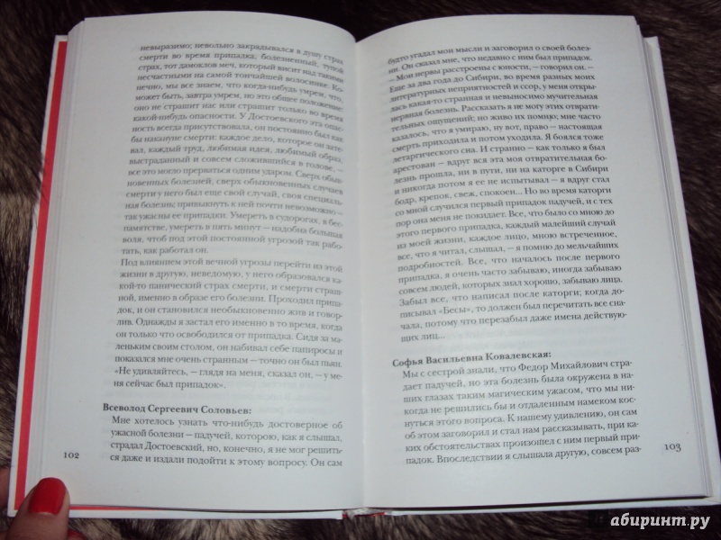 Иллюстрация 13 из 23 для Достоевский без глянца - Павел Фокин | Лабиринт - книги. Источник: MarinaKarpiza