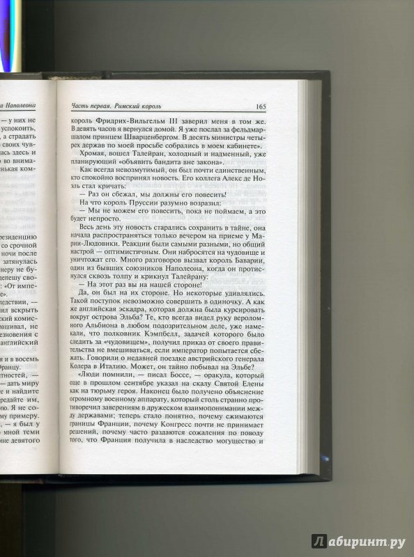 Иллюстрация 13 из 22 для Сын Наполеона: биография - Кастело, Ростан | Лабиринт - книги. Источник: Колхозstyle