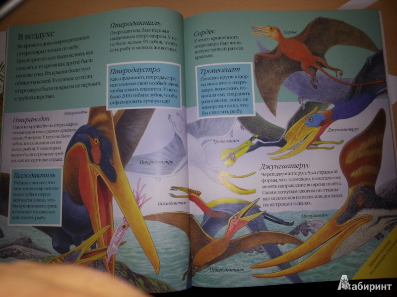 Иллюстрация 5 из 7 для Чудо-наклейки. Динозавры - Морис Пледжер | Лабиринт - книги. Источник: semerkina