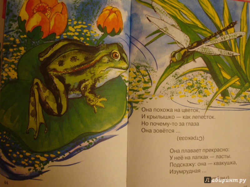 Иллюстрация 17 из 28 для Лесные загадки. Сборник загадок | Лабиринт - книги. Источник: Pafichka