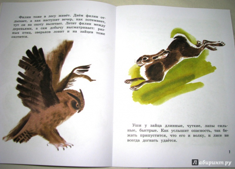 Иллюстрация 42 из 59 для Как заяц в лесу живёт - Вера Чаплина | Лабиринт - книги. Источник: Бог в помощь
