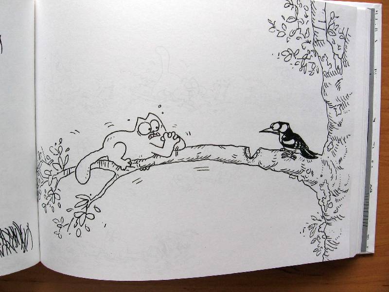Иллюстрация 35 из 46 для Кот Саймона - Саймон Тофилд | Лабиринт - книги. Источник: Red cat ;)