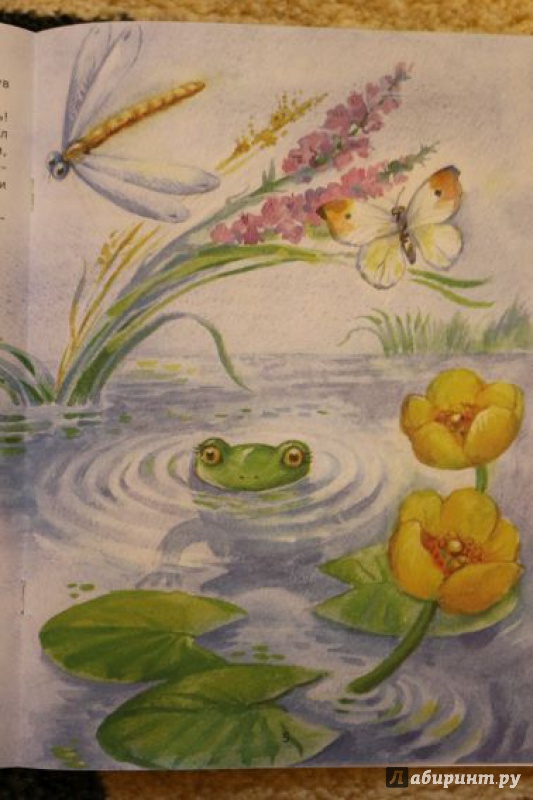 Иллюстрация 10 из 16 для Рождение лягушонка - Лариса Тарасенко | Лабиринт - книги. Источник: Террил