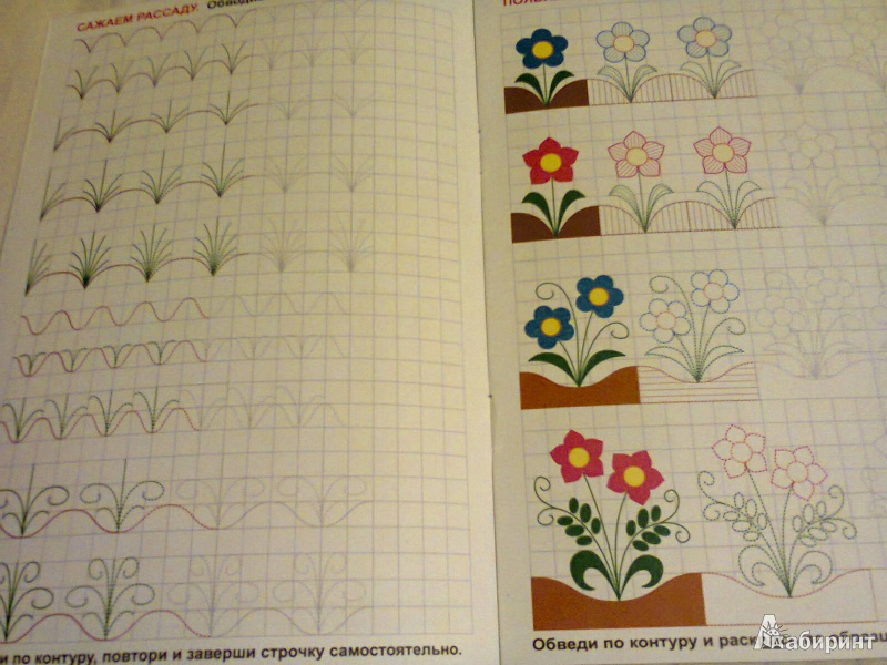 Иллюстрация 2 из 27 для Готовим руку к письму. Рисуем овощи и фрукты - О. Кучеренко | Лабиринт - книги. Источник: G