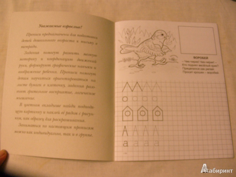 Иллюстрация 2 из 13 для Играем и пишем - Владимир Борисов | Лабиринт - книги. Источник: Juli10