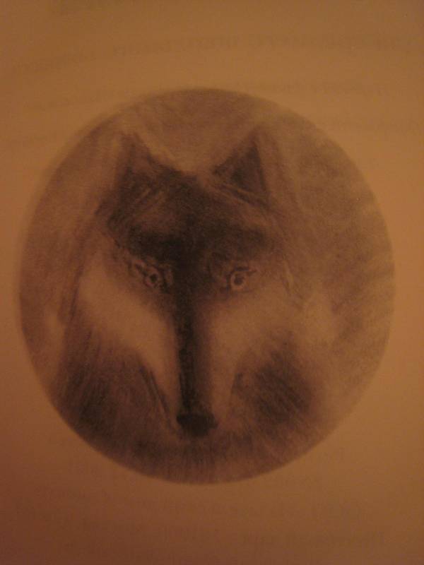 Иллюстрация 22 из 29 для Глаз волка - Даниэль Пеннак | Лабиринт - книги. Источник: Марняшка