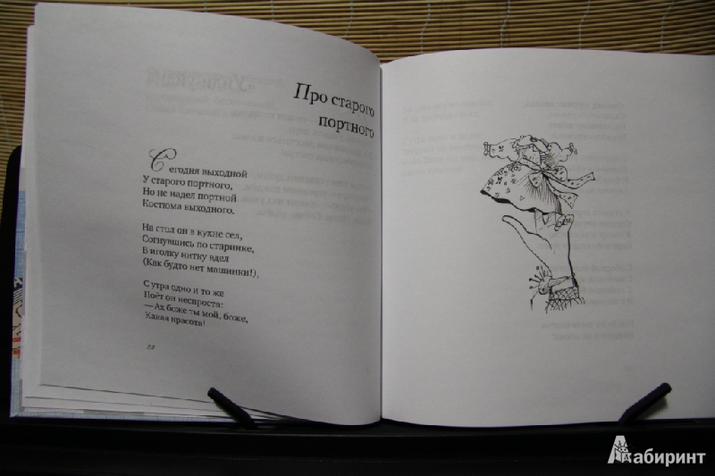 Иллюстрация 6 из 7 для С музыкой и пением - Марина Бородицкая | Лабиринт - книги. Источник: Pani Irena