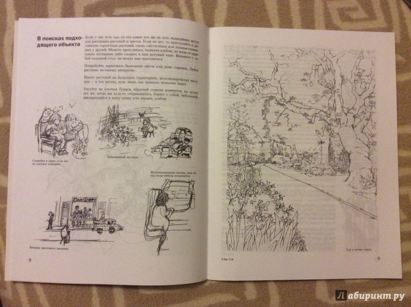 Иллюстрация 2 из 10 для Учитесь рисовать цветы и растения - Мэри Сеймур | Лабиринт - книги. Источник: Nata!