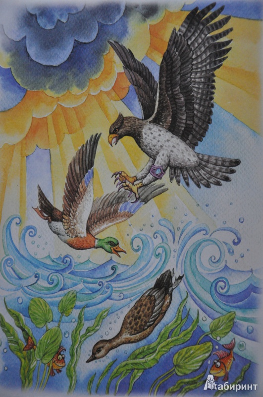 Иллюстрация 31 из 31 для Морской царь и Василиса Премудрая | Лабиринт - книги. Источник: NDusha