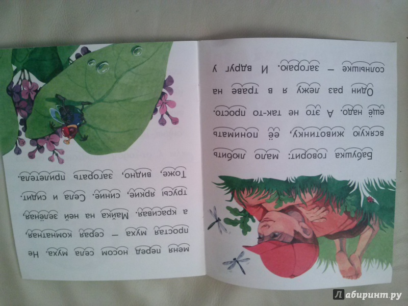 Иллюстрация 10 из 12 для Муха и чудовище - Виталий Бианки | Лабиринт - книги. Источник: Полякова  Ольга