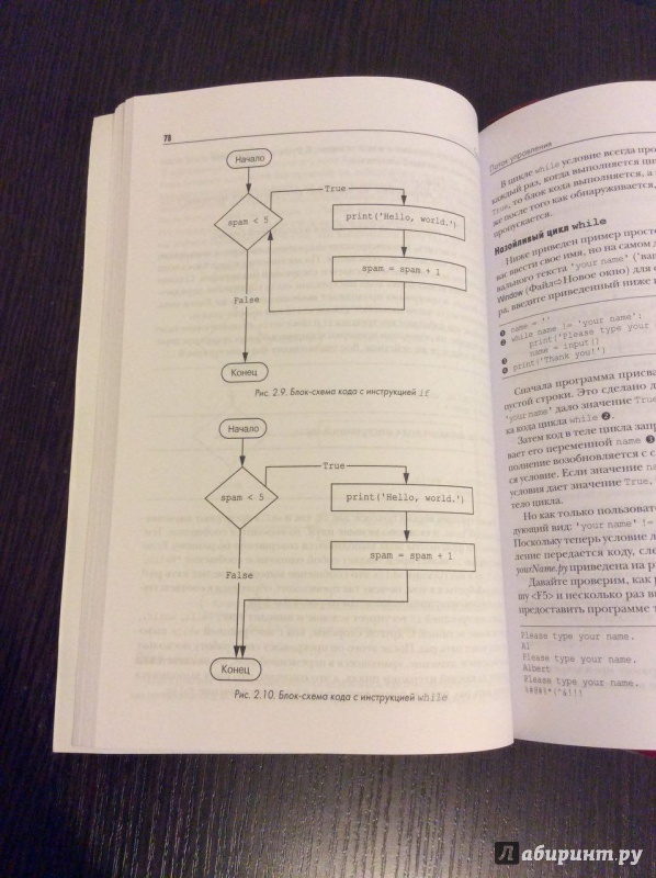 Иллюстрация 5 из 21 для Автоматизация рутинных задач с помощью Python. Практическое руководство для начинающих - Эл Свейгарт | Лабиринт - книги. Источник: Зайцева  Наталья