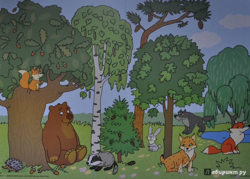 Иллюстрация 3 из 24 для Дикие животные. Интерактивные карточки - Елена Косинова | Лабиринт - книги. Источник: NDusha