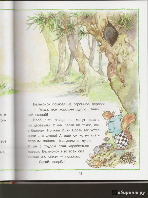 Иллюстрация 41 из 118 для Лесные истории - Рене Клок | Лабиринт - книги. Источник: Ольга