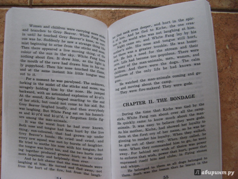 Иллюстрация 25 из 34 для Белый клык - Джек Лондон | Лабиринт - книги. Источник: Ольга