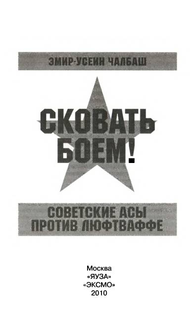 Иллюстрация 12 из 21 для Сковать боем! Советские асы против Люфтваффе - Эмир-Усеин Чалбаш | Лабиринт - книги. Источник: MIV