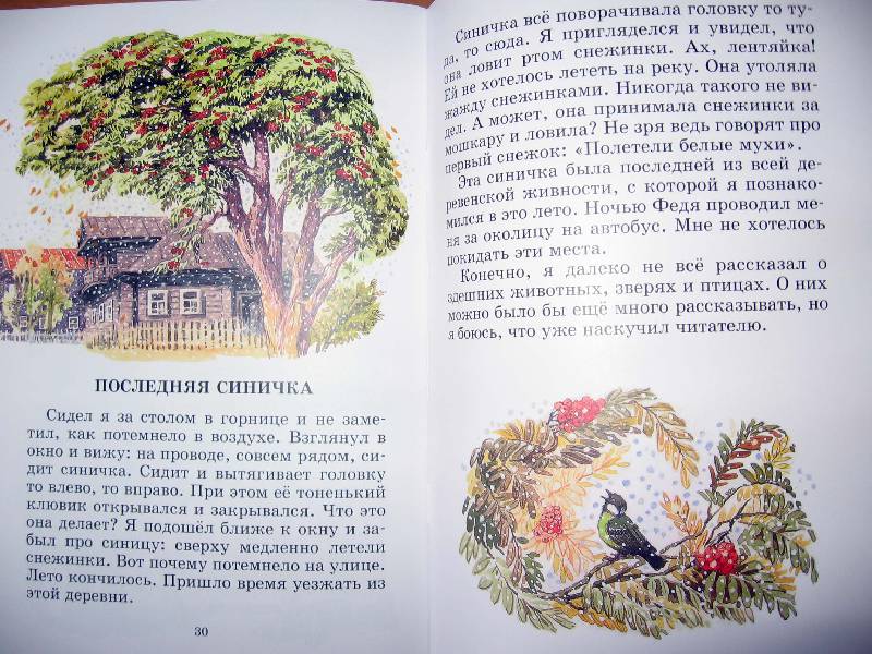 Иллюстрация 11 из 40 для Про Мальку - Василий Белов | Лабиринт - книги. Источник: Red cat ;)