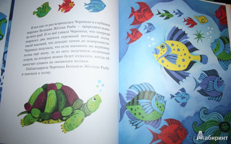 Иллюстрация 8 из 16 для Черепаха и остров | Лабиринт - книги. Источник: Торос  Анна Ивановна