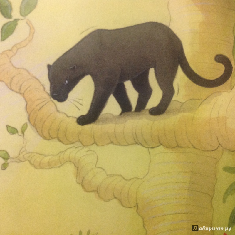Иллюстрация 9 из 21 для The Jungle Book - Jillian Powell | Лабиринт - книги. Источник: Sage Tea