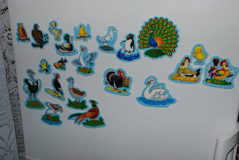 Иллюстрация 1 из 5 для Дикие и домашние птицы | Лабиринт - игрушки. Источник: Lared